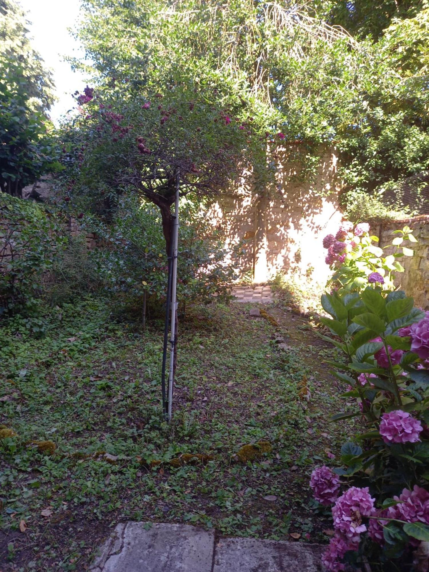 Ferienwohnung La Teranga De Kadi & Cathy, Avec Jardin Privatif Nancy Exterior foto