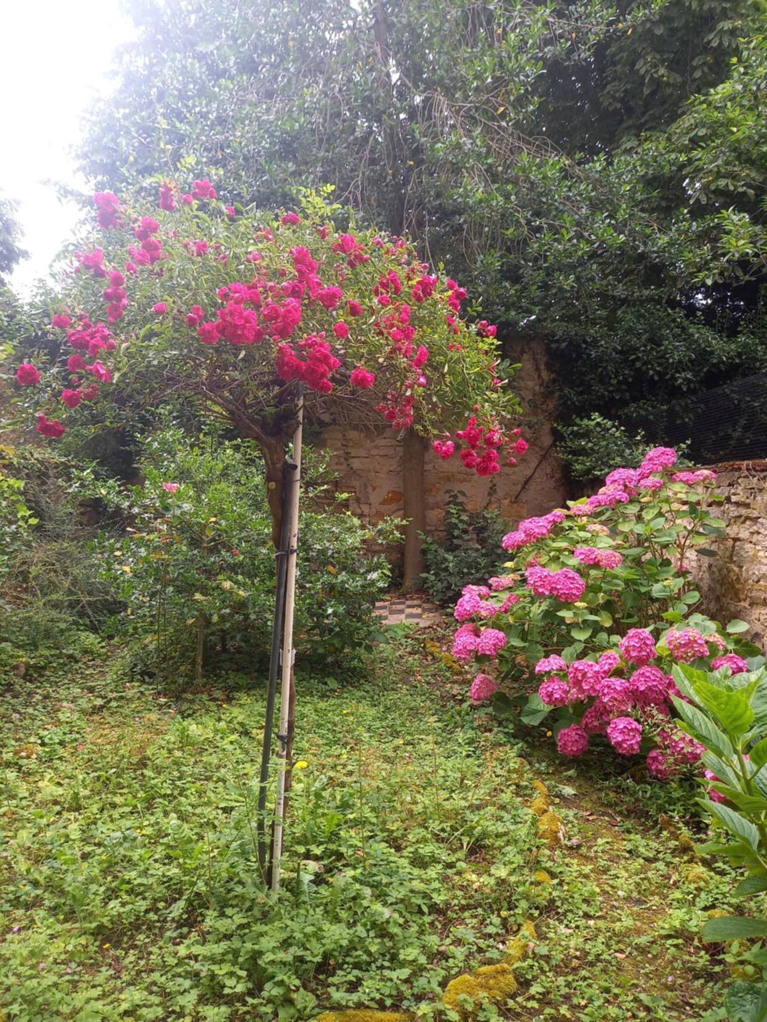 Ferienwohnung La Teranga De Kadi & Cathy, Avec Jardin Privatif Nancy Exterior foto